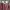 Vintage Muslim Casual dress Wanita burgundy navy red cream photo 5