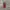 Vintage Muslim Casual dress Wanita burgundy navy red cream photo 4