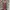 Vintage Muslim Casual dress Wanita burgundy navy red cream photo 3