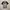 Kaos Sonic Youth photo 1