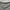 Adidas Original Barcode Tembus L
