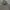 Grooverhyme photo 3