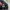 Trackpanst Adidas Climalite photo 5