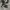 Converse Allstar Hi Black White photo 1