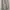 Hoodie karakter supreme Canada  photo 1
