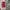 Hoodie karakter supreme Canada  photo 8