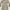 KAPITAL Long Western Shirt Jacket Jeans photo 4