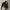 everlast slingbag photo 1