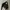 Everlast Slingbag