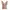 Indie Coquette Bralette Wanita Tan Pink