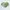 Casual Crop top Wanita green photo 2