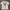 Casual Jersey Pria white photo 2