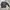 Adidas Casual Sportswear Sweatshirt Pria black photo 1