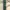 Philippe Charriol Shoulder Bag Original photo 8
