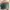 Philippe Charriol Shoulder Bag Original photo 5