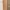 Chloe maxi dress bodycon size L photo 4