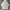Uniqlo Streetwear Y2K Hoody Pria cream photo 2