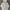 Uniqlo Streetwear Y2K Hoody Pria Cream