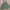 Overall/Dress flower vintage cute photo 1