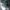 hnm bodycon ribbed dress in green sage photo 2