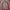 Trousers Pants Takeo Kikuchi Japan Second Vintage Rare Item photo 4