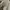 Trousers Pants Takeo Kikuchi Japan Second Vintage Rare Item photo 7