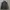 CASUAL JACKET COROCODILE photo 8