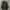 8SCOUND DOBLE ZIPER  photo 6