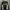 ADIDAS TRACTOP photo 1