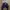 Leather Jacket Woman Boxy
