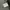 Ambush jpn halbstarke M65 field jacket military photo 7