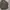 Ambush jpn halbstarke M65 field jacket military photo 3