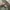 Ambush jpn halbstarke M65 field jacket military photo 5