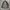 Ambush jpn halbstarke M65 field jacket military photo 4