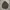 Ambush jpn halbstarke M65 field jacket military photo 2
