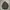 Ambush Jpn Halbstarke M65 Field Jacket Military