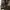 Casual Fur coat Pria brown photo 5
