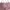 H&M Pink Solid Halter Crop Top photo 1