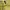 H&M Long Sleeve Light Yellow Sabrina Off Shoulder Top photo 3