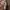 Gucci Brown Guccisima Leather Brown Bag photo 3