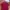Polo shirt uniqlo maroon photo 1