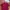 Polo Shirt Uniqlo Maroon