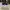 Adidas Pharrel x NMD Human Race ‘Inspiration Pack’ photo 4