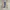 Duva Club Harrington Jacket photo 5