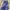 Duva Club Harrington Jacket photo 6