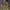 Hoodie Camo X-Large   photo 1