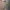 Japanese Brand Streetwear Vintage Casual Shirt Pria Multicolor