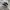 ASICS MAGIC SPEED photo 1