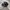 ASICS MAGIC SPEED photo 1