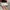 Tas Charles and Keith - Geometric Tote Bag C&K ORIGINAL 100% photo 4